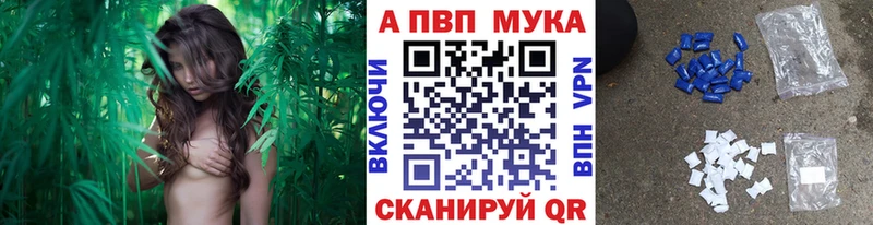 сколько стоит  blacksprut tor  Альфа ПВП крисы CK  Новое Девяткино 